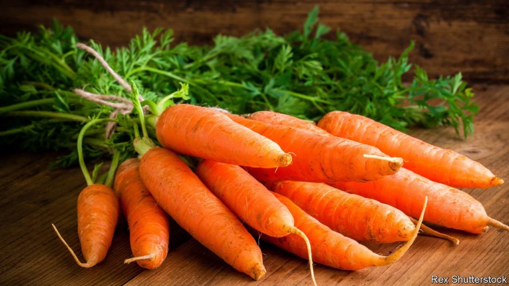 10 Facts about Carrots