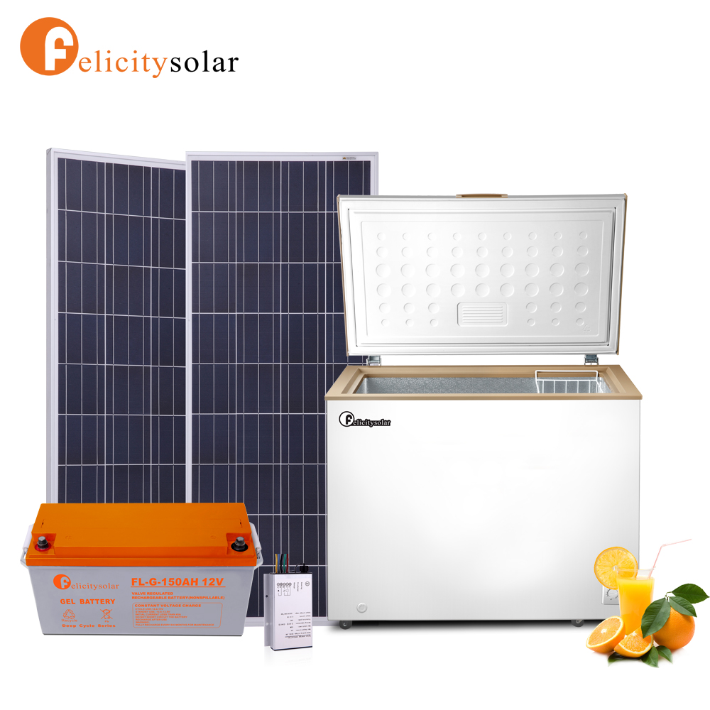 Felicity Solar Freezers 200L

