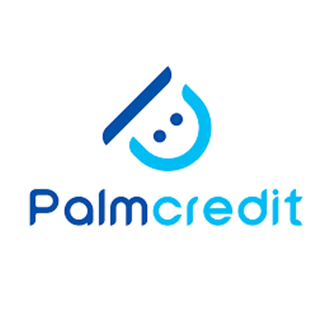PalmCredit Loan App In Nigeria