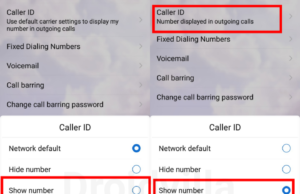 Disable private number