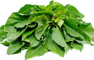 African spinach