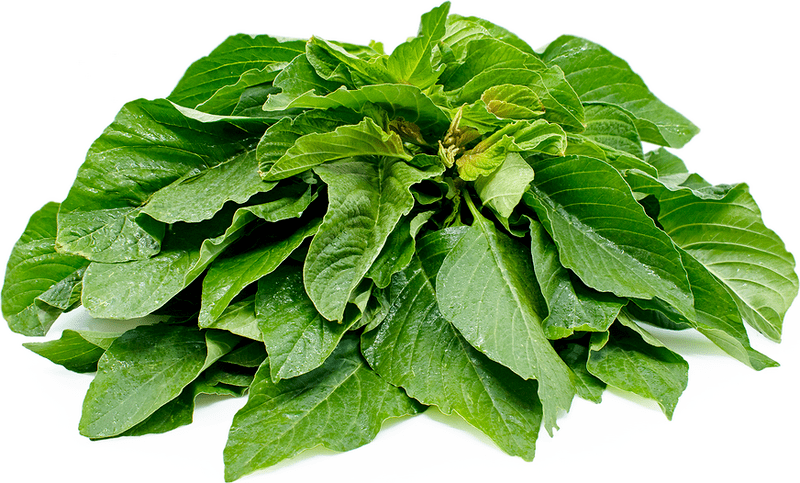 African Spinach