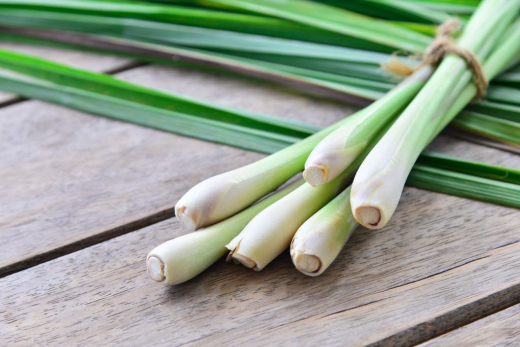 lemon grass stalks