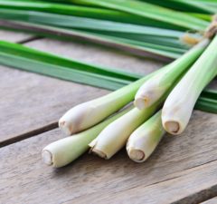 lemon grass