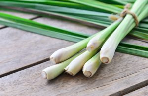 lemon grass