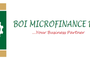 Bank of Industry Microfinance